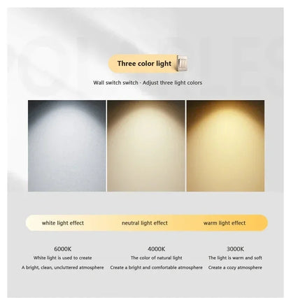 Modern LED Pendant Light Gold Black Minimalist Elliptical Pendant Lamp Living Room Dining Room Shop Bar Lighting Decoration